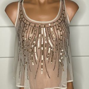 Hollister sheer top, sequin top